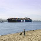 Containerschiff Elbe Strand Ovelgönne