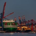 Containerschiff Evergreen Ace Hamburg