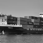 Containerschiff FREYA