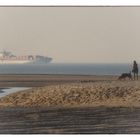 Containerschiff im Abenddunst - Porte-conteneurs dans la brume du soir