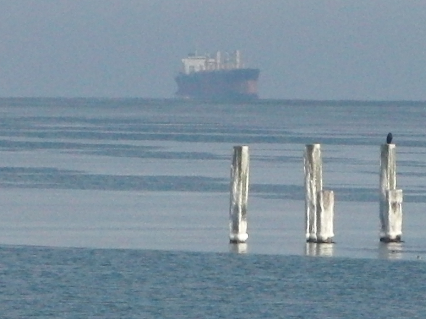 Containerschiff im Nebel !