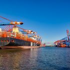 Containerschiff im Waltershofer Hafen