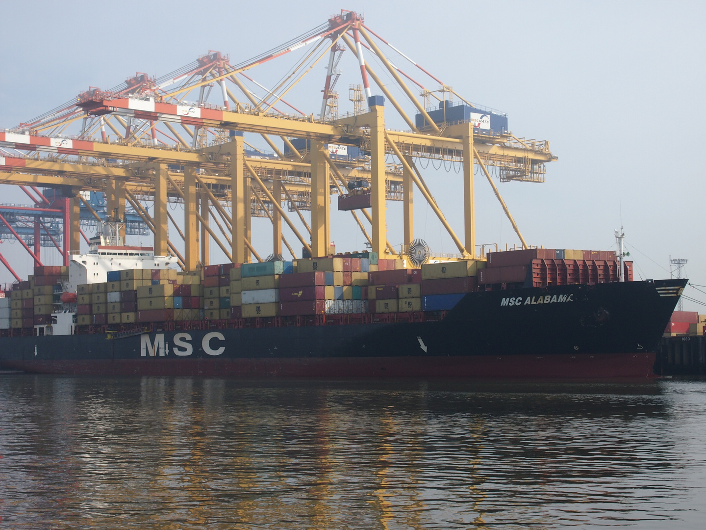 Containerschiff MSC Alabama