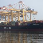 Containerschiff MSC Alabama