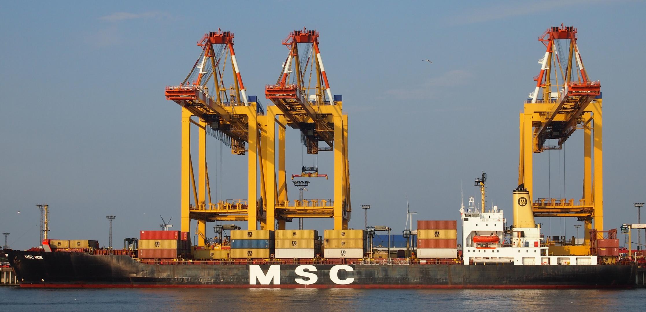 Containerschiff MSC Iris