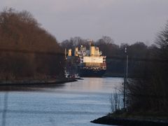 Containerschiff MSC PATRICIA in der Kanalenge bei Landwehr