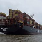 Containerschiff MSC Romane auf der Elbe