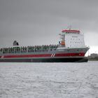 Containerschiff   RIJNBORG