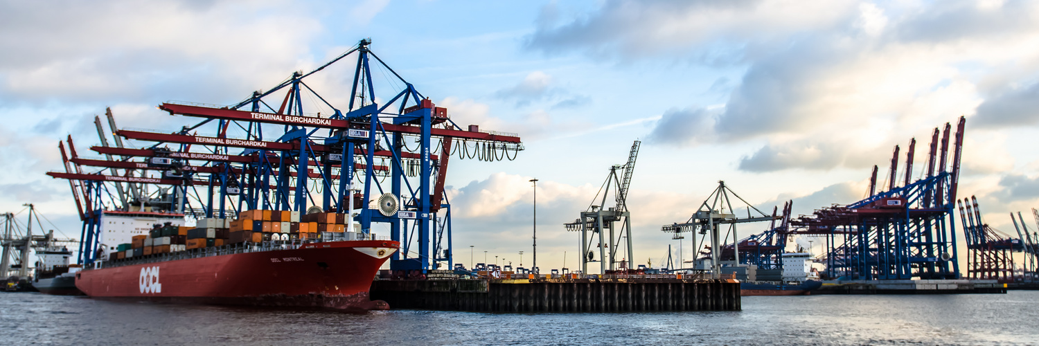 Containerschiff und Kräne im Hamburger Hafen