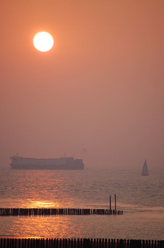 Containerschiff und Segelboot in Breskens