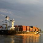 Containerschiff "Warnow Vaquita" auf der Elbe vor Wedel