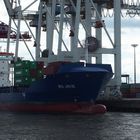 Containerschiff Wes Janine