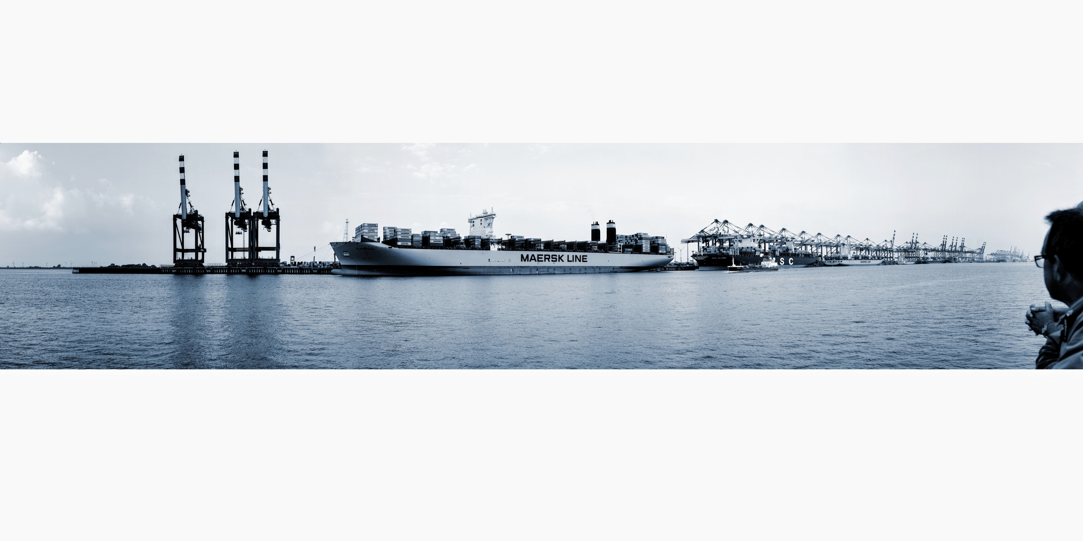 Containerschiffe in Bremerhaven (Panorama)