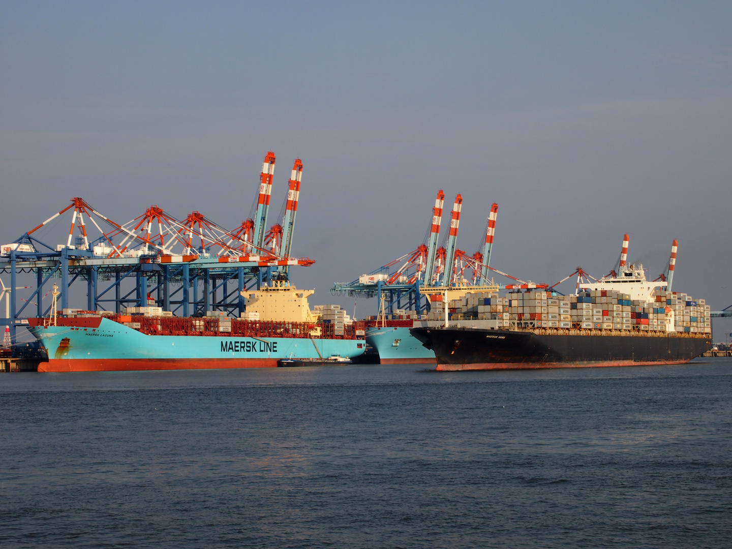 Containerschiffe Maersk Laguna, Maersk Mc-Kinney Moller und Maersk Sana