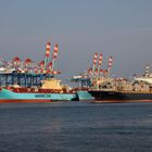 Containerschiffe Maersk Laguna, Maersk Mc-Kinney Moller und Maersk Sana
