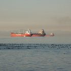 Containerschiffe vor Vancouver