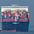 Containership "APL TEMASEK"