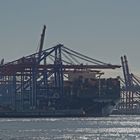 Containerterminal