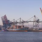 ContainerTerminal*