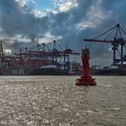 Containerterminal Altenwerder von der Wasserseite