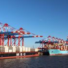 Containerterminal Bremerhaven