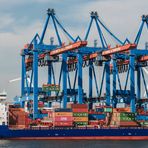 Containerterminal Hamburg Altenwerder CTA