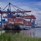 Containerterminal  Hamburg Altenwerder (CTA)