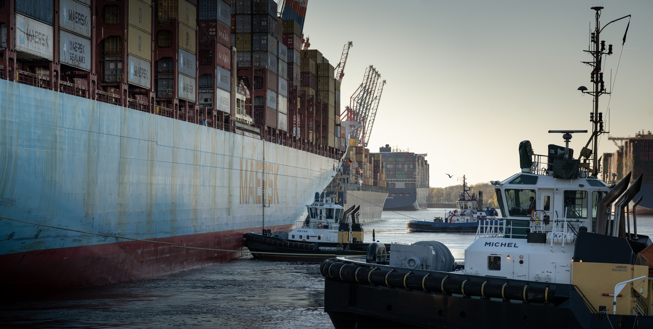 Containerterminal im Waltershofer Hafen in Hamburg 