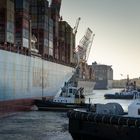 Containerterminal im Waltershofer Hafen in Hamburg 