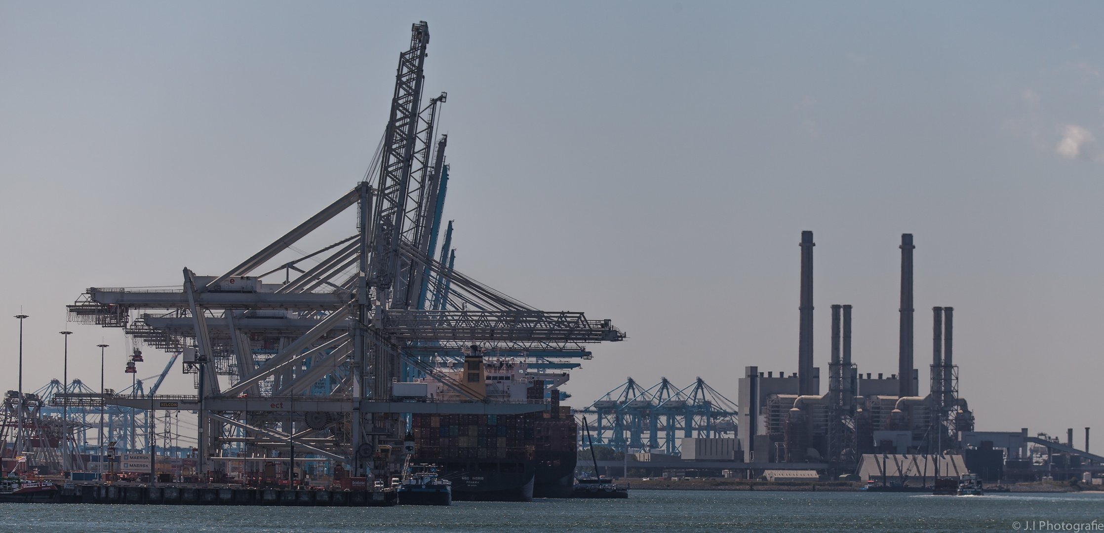 Containerterminal Rotterdam