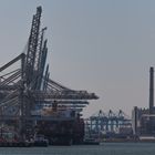 Containerterminal Rotterdam