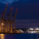 Containerterminal Tollerort mit Blick zum Altonaer Cruiseterminal