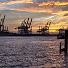Containerterminals in Hamburg bei Abendstimmung