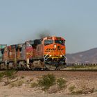 Containerzug der BNSF bei Siberia