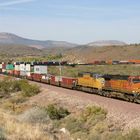 Containerzug der BNSF bei Valentine