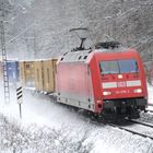 Containerzug mit 101 079-2