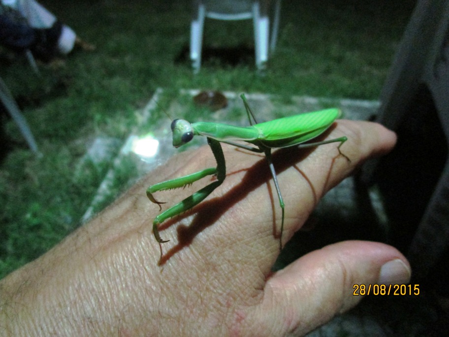 Contatto con la Natura