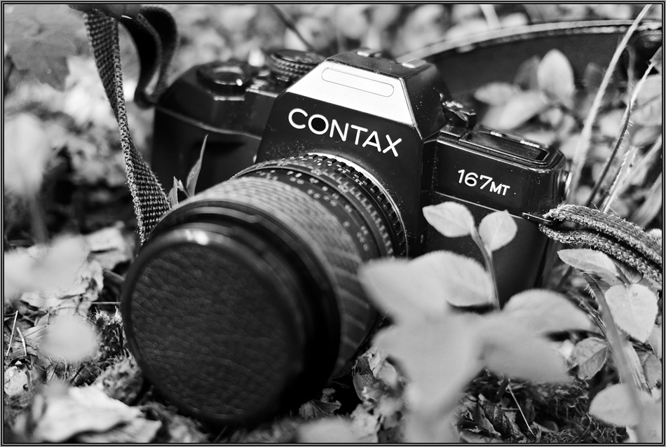 Contax