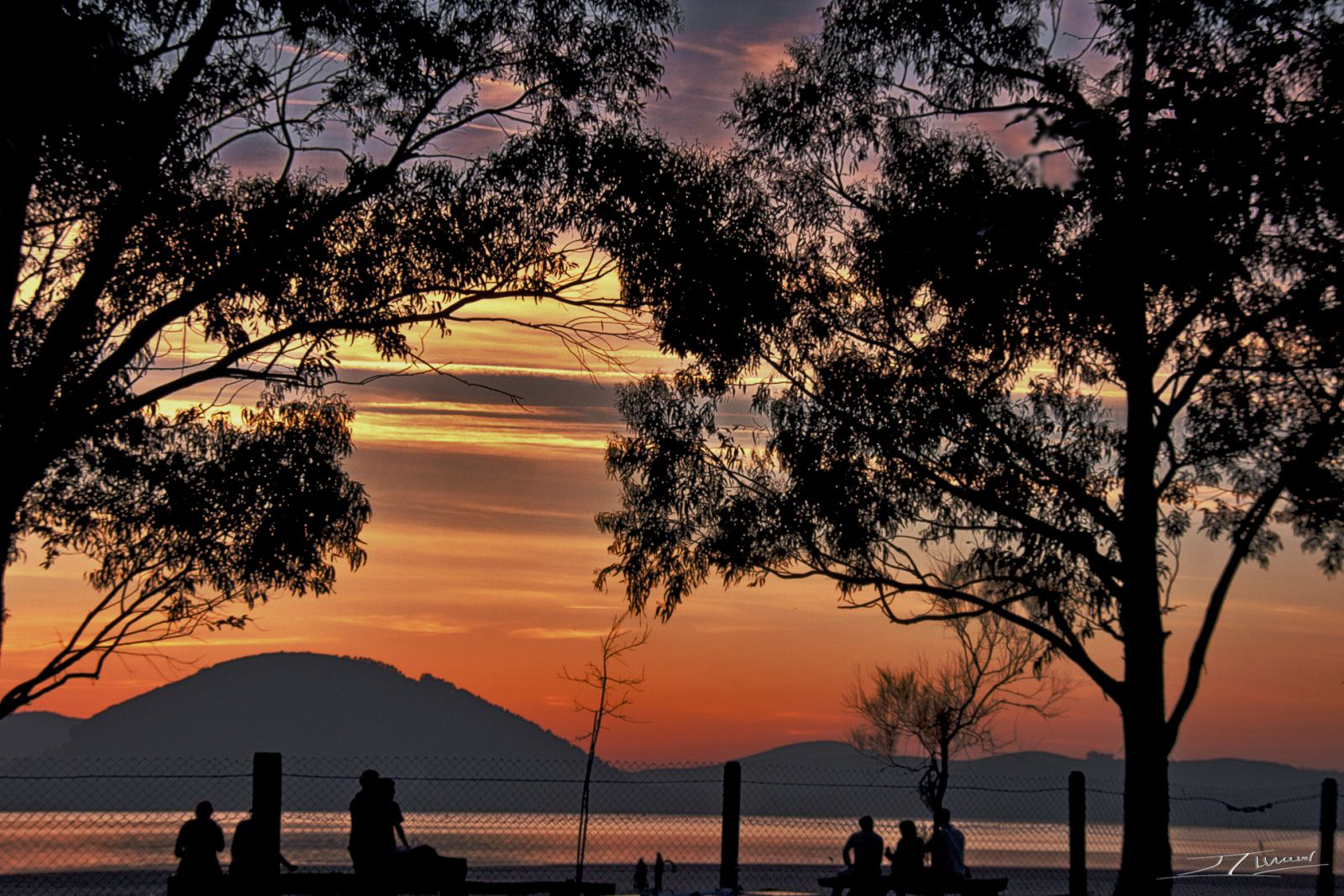 Contemplando el atardecer