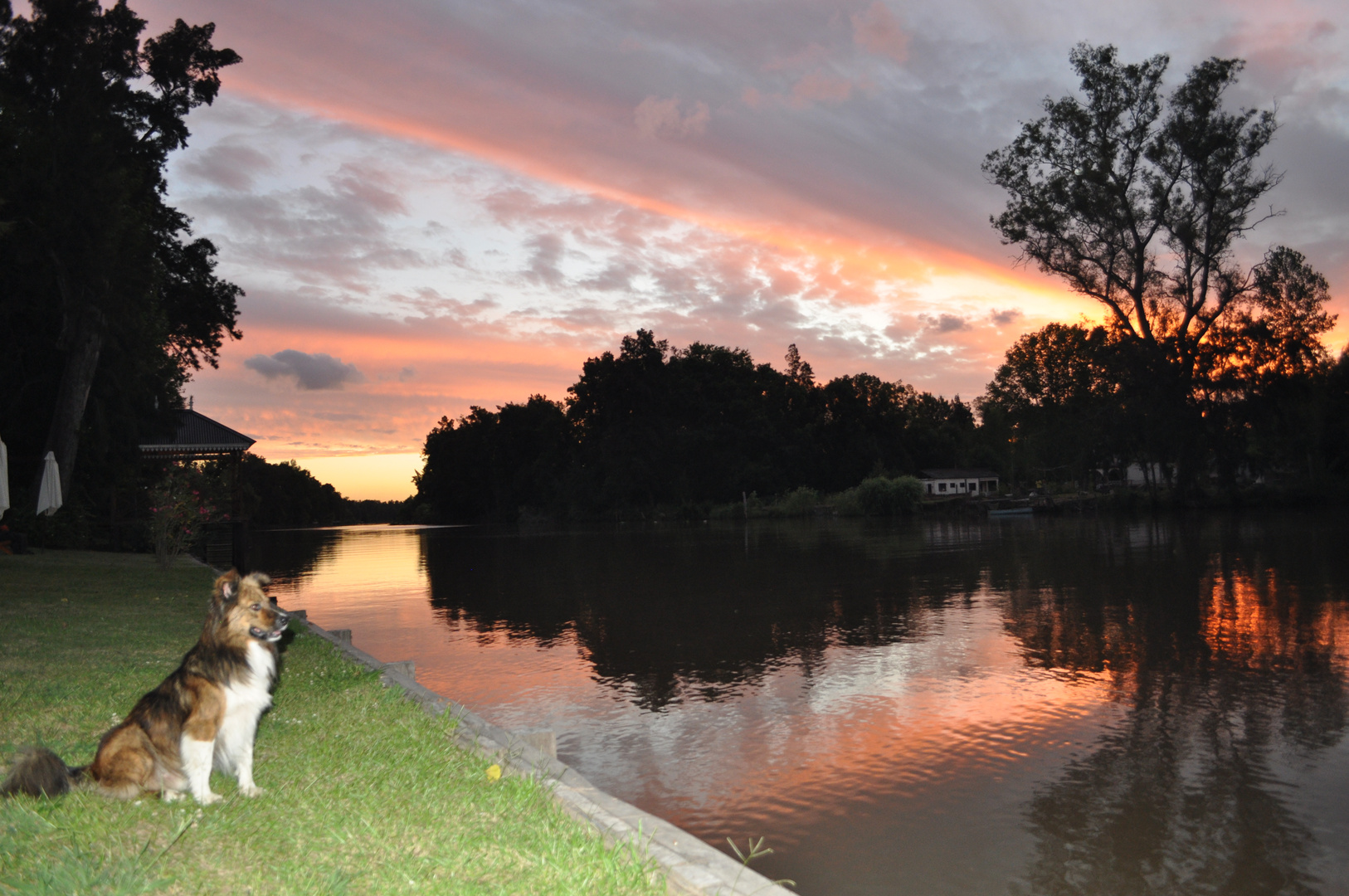 Contemplando el Atardecer...