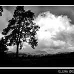 Contemplando el cielo