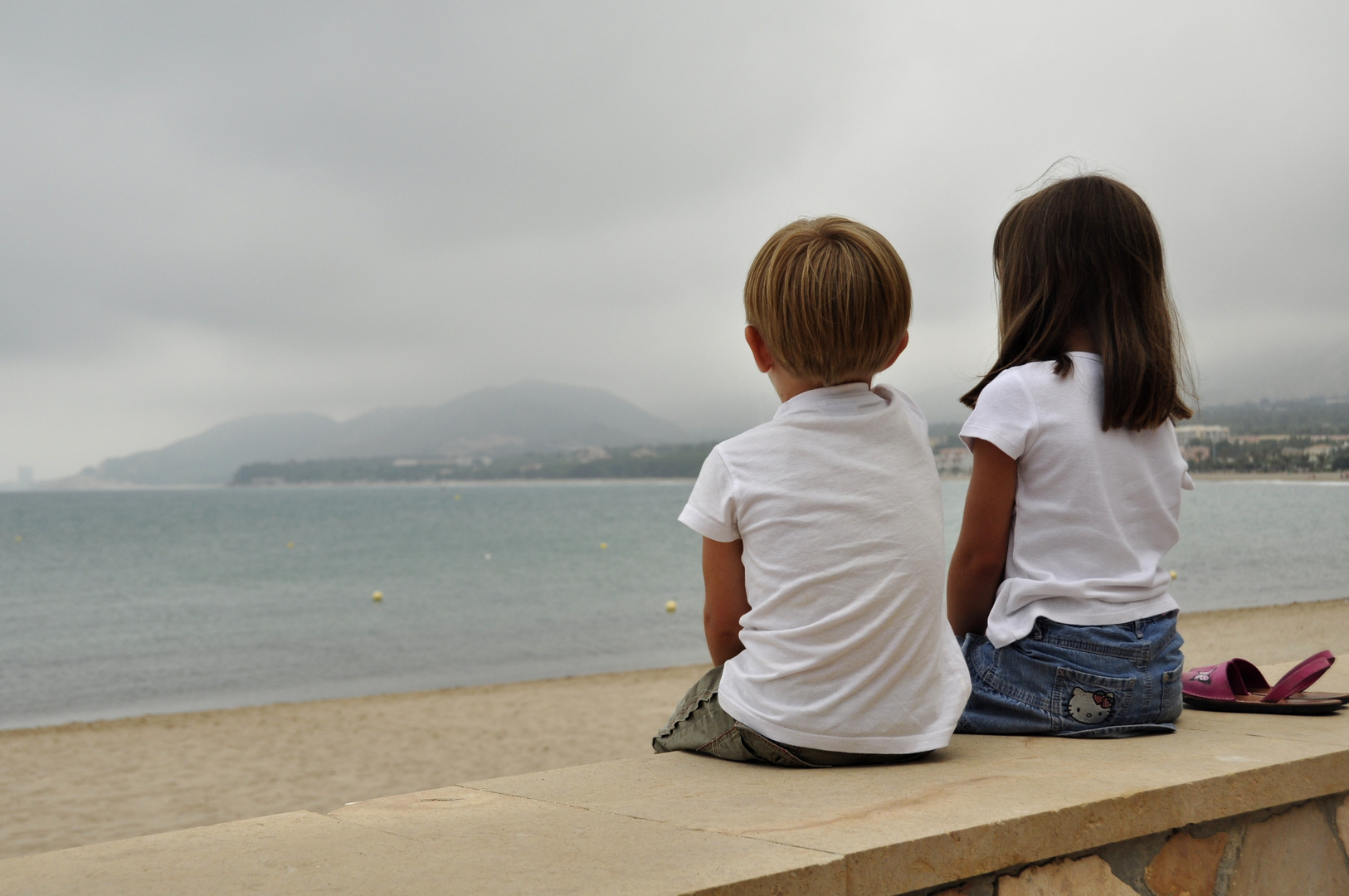 Contemplando el mar