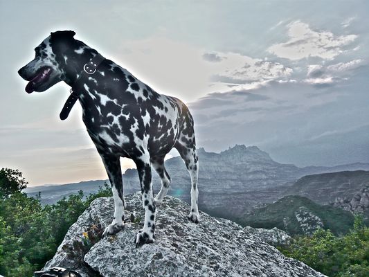Contemplando el paisaje