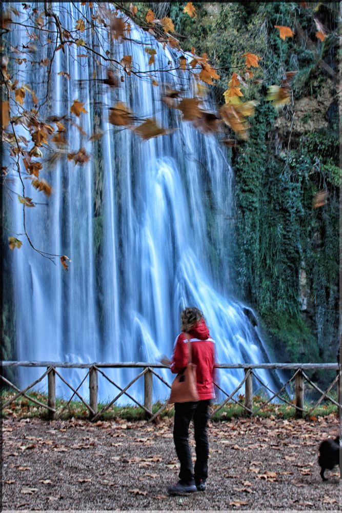 Contemplando la caida de las aguas