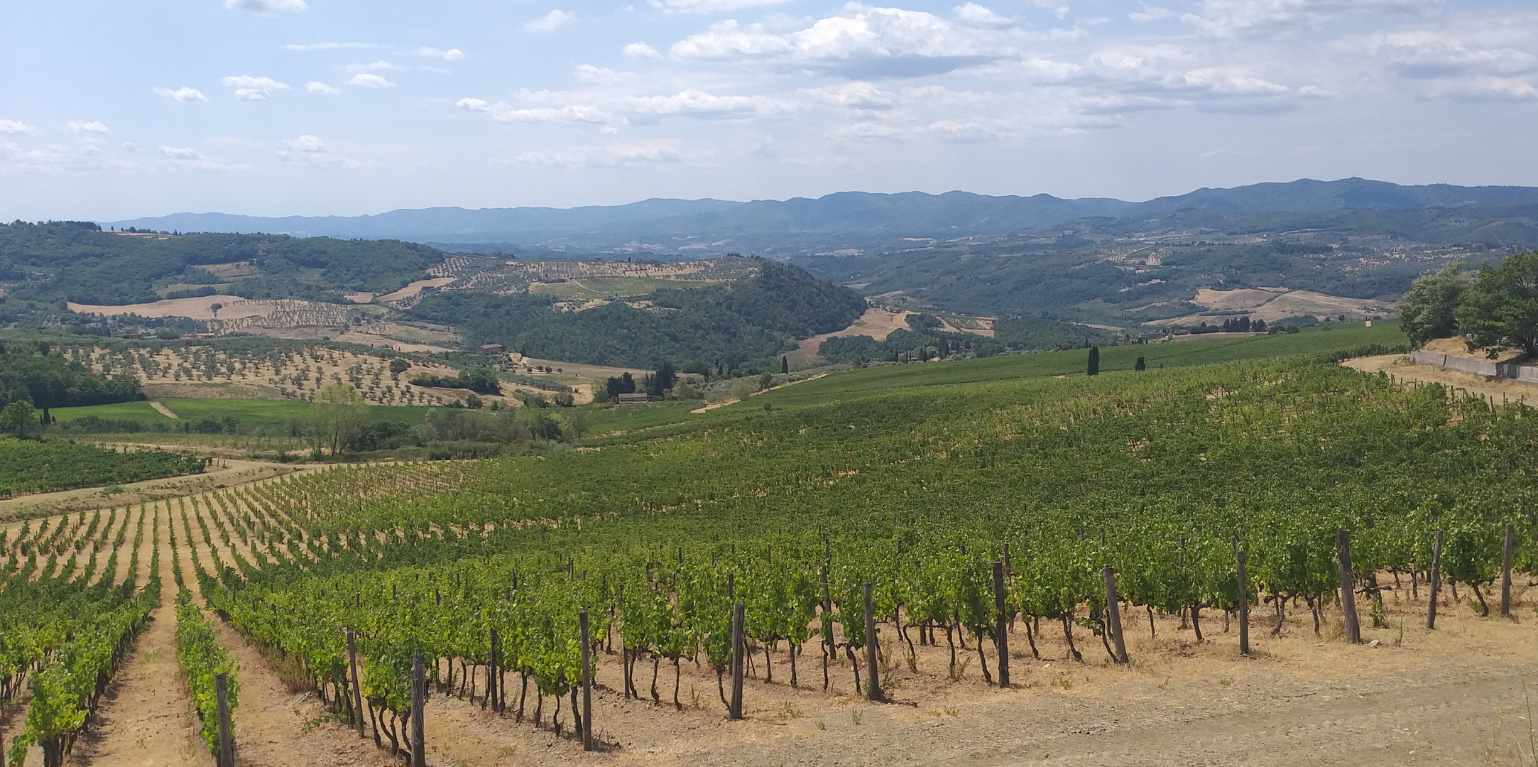 Contemplando  la campagna 