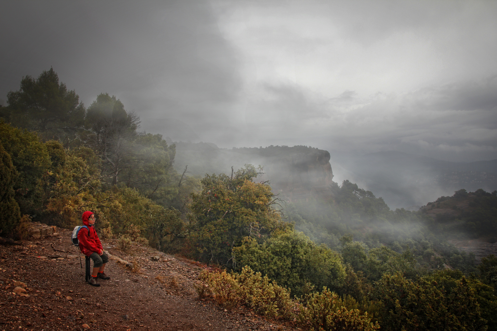 Contemplando la llegada del otoño