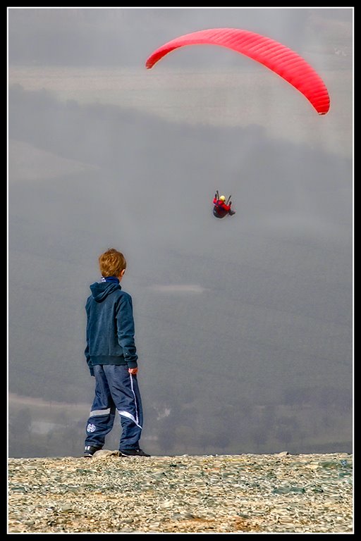 Contemplando volar