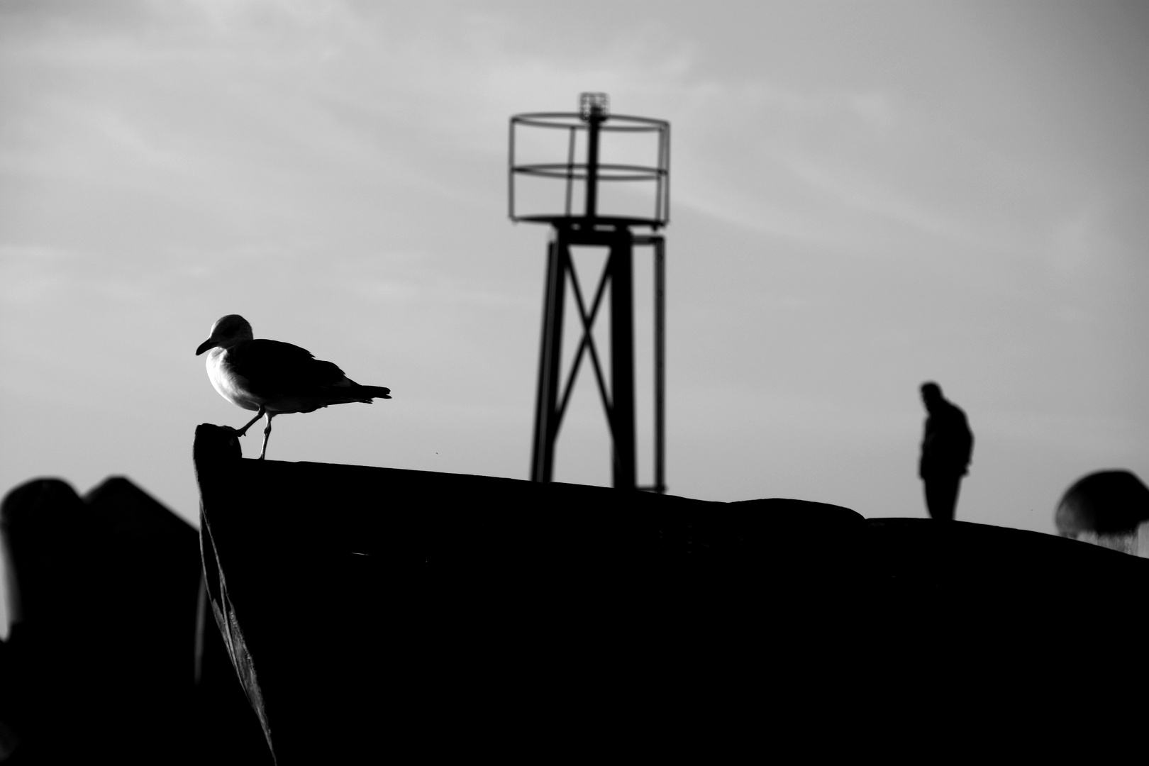 "Contemplazione del tempo"