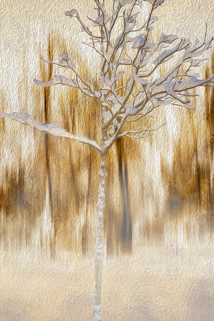 CONTEMPORARY ART : SNOW ON THE BRANCHES