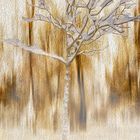 CONTEMPORARY ART : SNOW ON THE BRANCHES